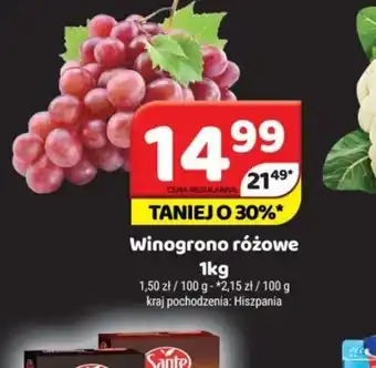 Delfin Winogrono różowe oferta