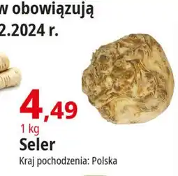 E.Leclerc Seler korzeń polska oferta