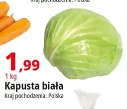 E.Leclerc Kapusta biała polska oferta