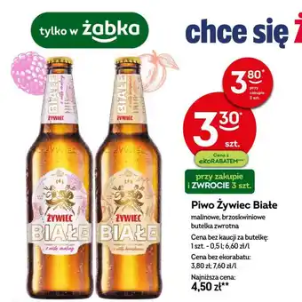 Żabka Piwo Zywiec Białe oferta