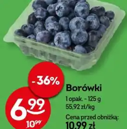 Borówki