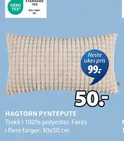 JYSK HAGTORN PYNTEPUTE oferta