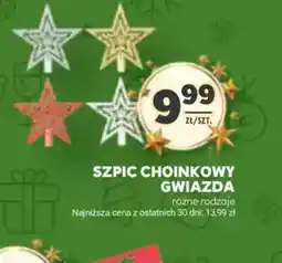 Stokrotka Szpic choinkowy gwiazda oferta