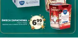 Stokrotka Swieca zapachowa oferta