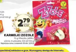 Stokrotka Karmelki ZoZole oferta