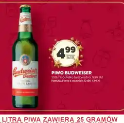 Stokrotka Piwo Budweiser oferta