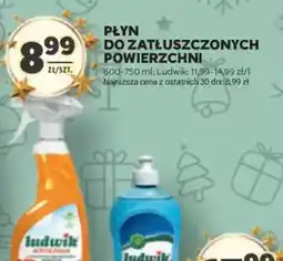 Stokrotka Płyn do zmatowionych powierzchni Ludwik oferta