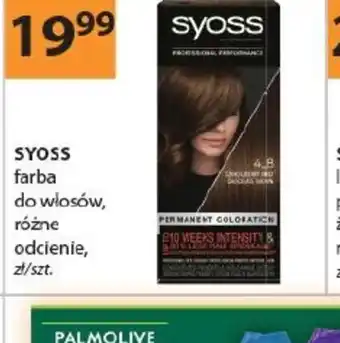 Drogerie Laboo Syoss farba do włosów oferta