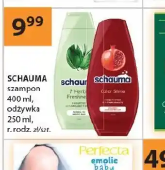 Drogerie Laboo Schauma szampon, odżywka oferta