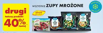 Biedronka Zupa albo krem z borowików i podgrzybków Mroźna Kraina oferta