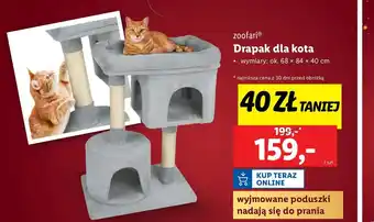 Lidl Drapak dla kota 68 x 84 40 cm Zoofari oferta