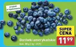 ALDI Borówki amerykańskie oferta