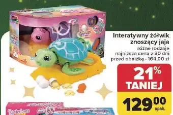 Carrefour Żółwik znoszący jaja oferta