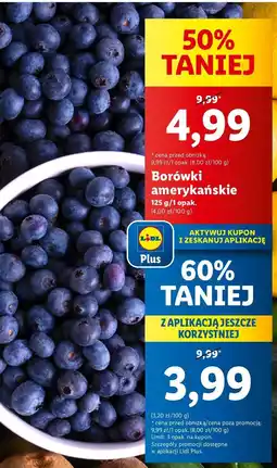 Lidl Borówka amerykańska oferta