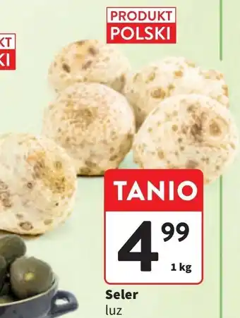 Intermarche Seler korzeń polska oferta