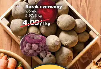 Netto Burak czerwony oferta