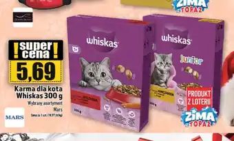 Topaz Karma dla kota Whiskas oferta