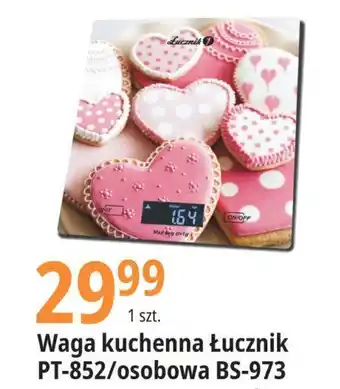 Carrefour Waga kuchenna pt-852 1 SZT oferta