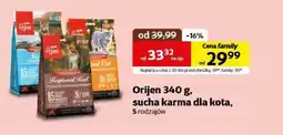 Kakadu Karma dla kota orijen oferta