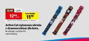 Kakadu Obroża dla kota Active Cat oferta