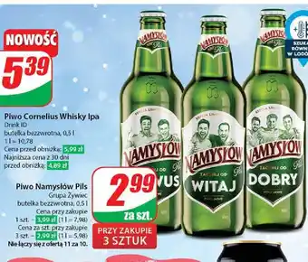 Dino Piwo Namysłów Pils oferta