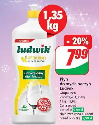 Dino Płyn do mycia naczyń cytrynowy Ludwik oferta