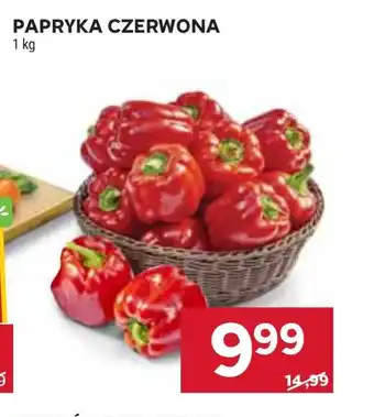 Stokrotka Papryka oferta
