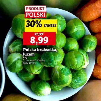 Lidl Brukselka Polski oferta