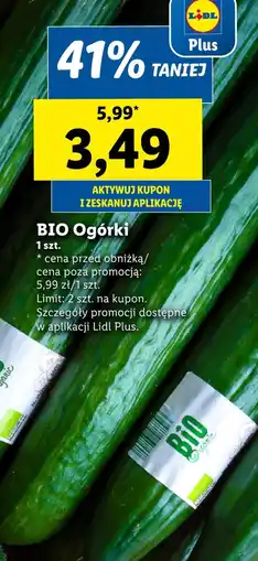 Lidl Ogórki Plus-Plus oferta