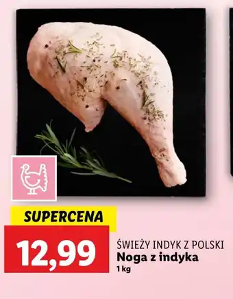 Lidl Noga z indyka Polski oferta