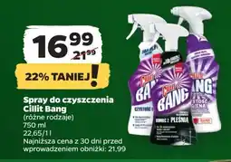 Netto Płyn czystość i higiena Cillit Bang oferta