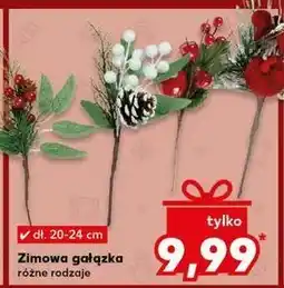 Kaufland Gałązka zimowa oferta