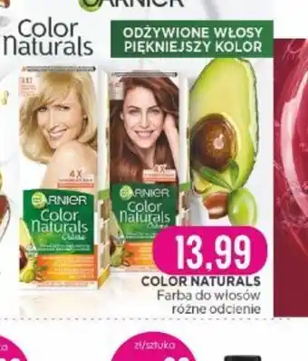 Jaśmin Farba do włosów Color Naturals oferta