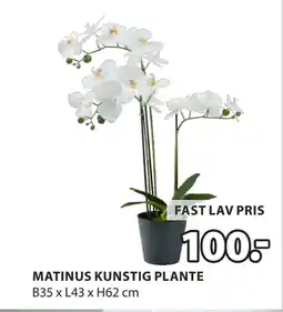 JYSK MATINUS KUNSTIG PLANTE oferta