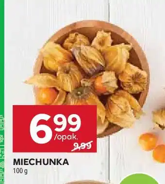 Stokrotka Miechunka oferta