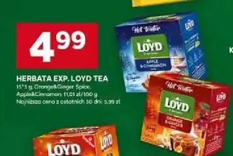 Stokrotka Herbata hot winter orange & ginger Loyd tea the magic experience oferta