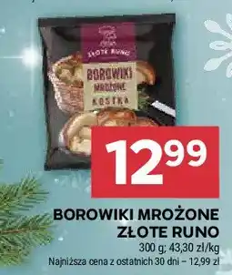 Stokrotka Borowik kostka mrożony kostka Złote runo oferta