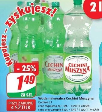 Dino Woda mineralna Cechini Muszyna 2l oferta