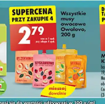 Biedronka Musy owocowe Owoców oferta