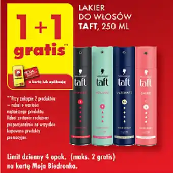 Biedronka Lakier do włosów Taft oferta