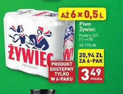 ALDI Piwo Zywiec Premium oferta