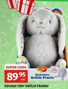 Auchan Królik franio oferta