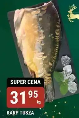 bi1 Karp oferta