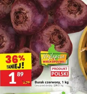 Twój Market Burak czerwony oferta