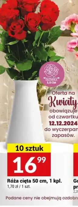 Twój Market Róża cięta oferta