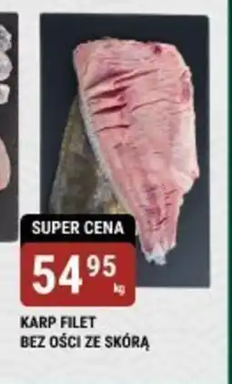 bi1 Karp filet bez ości ze skórą oferta