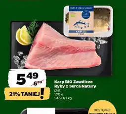 Netto Karp BIO Zawidcze oferta