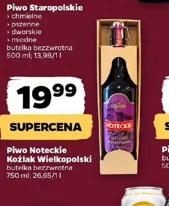 Netto Piwo Noteckie Kozlak Wielkopolski oferta