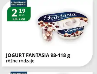 Eurocash Cash & Carry Jogurt Fantasia oferta