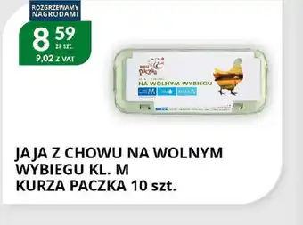 Eurocash Cash & Carry Jaja z chowu na wolnym wybiegu kl. M oferta